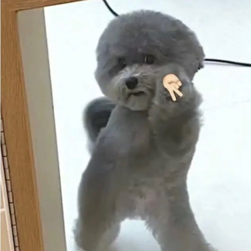 Meet your Posher, Audrey